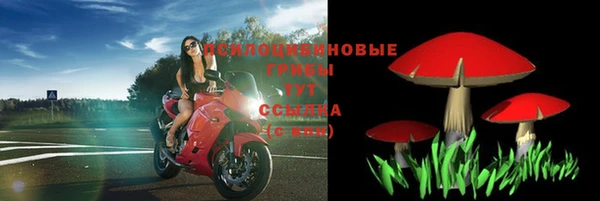 сатива Алзамай